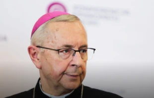 Archbishop Stanisław Gądecki, president of the Polish bishops’ conference. episkopat.pl.